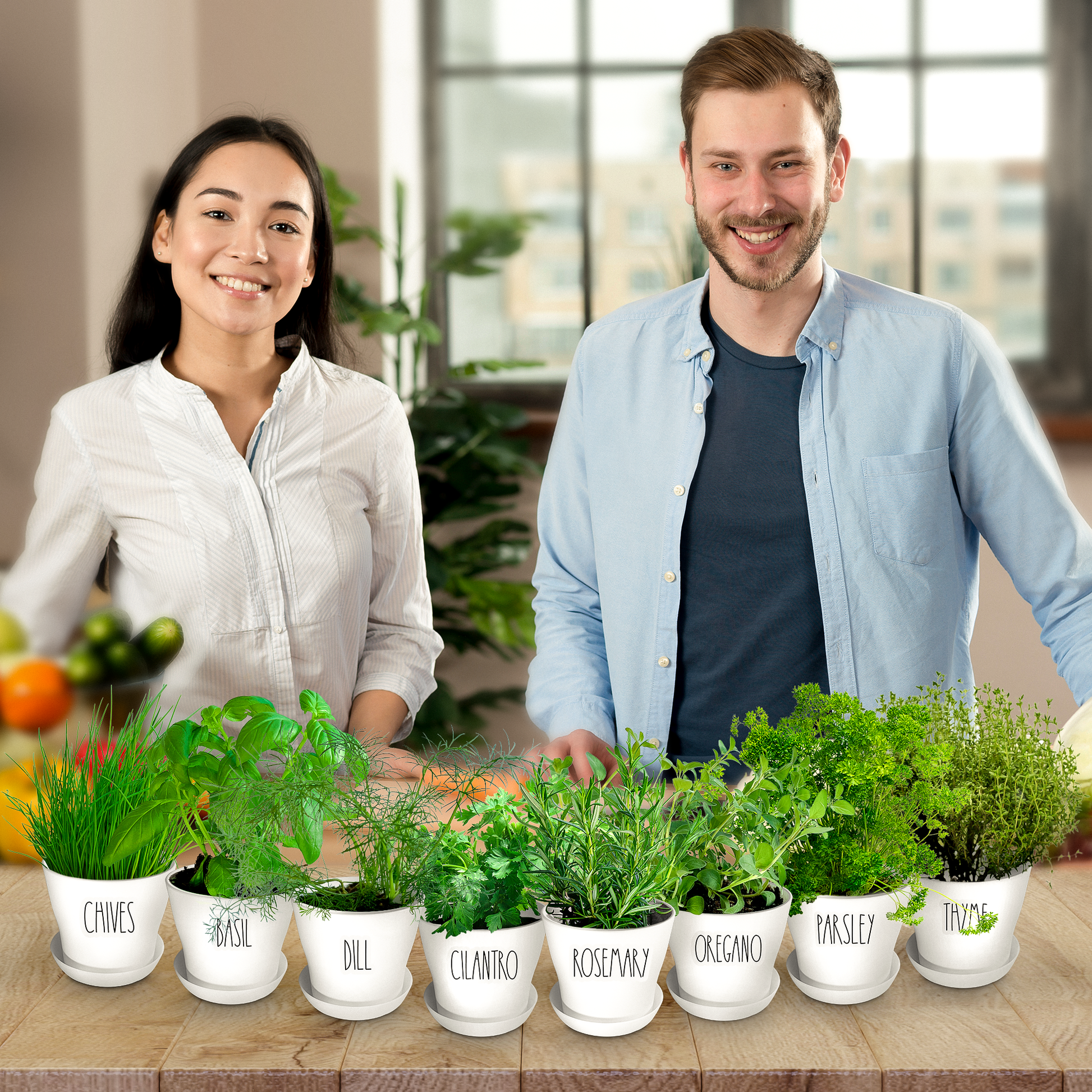 Herb Garden Kit For Indoor