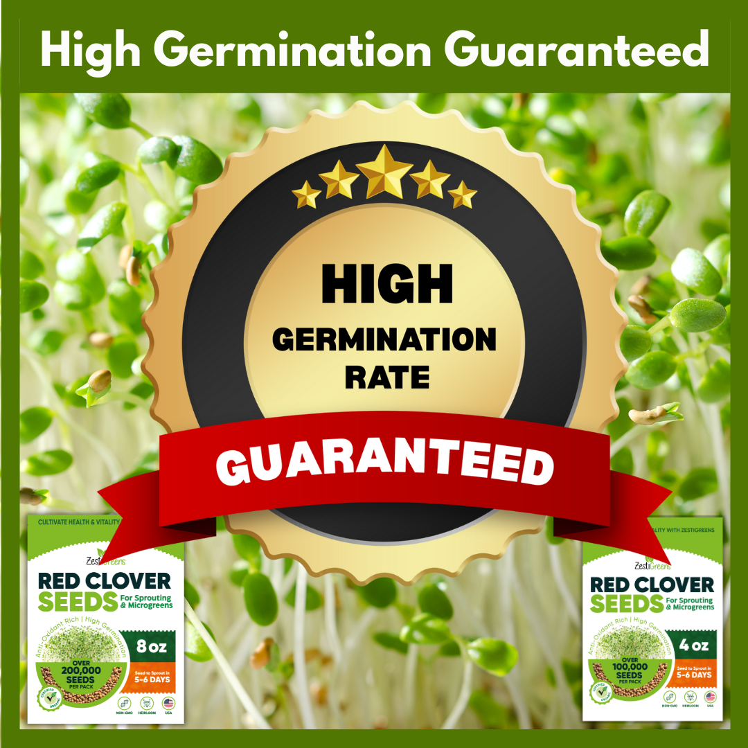 Organic Red Clover Seeds for Sprouting - Non-GMO, USA Grown Microgreens Sprouting Seeds