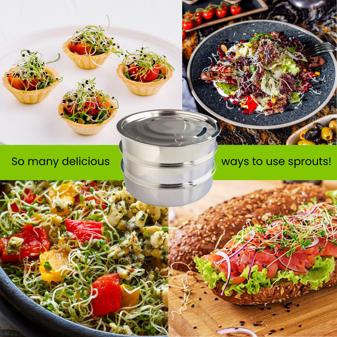 Broccoli Sprouting Kit