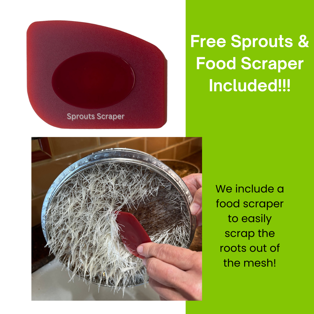 Stainless Steel Sprouters Kit