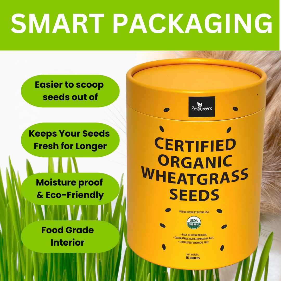 Wheatgrass For Cats