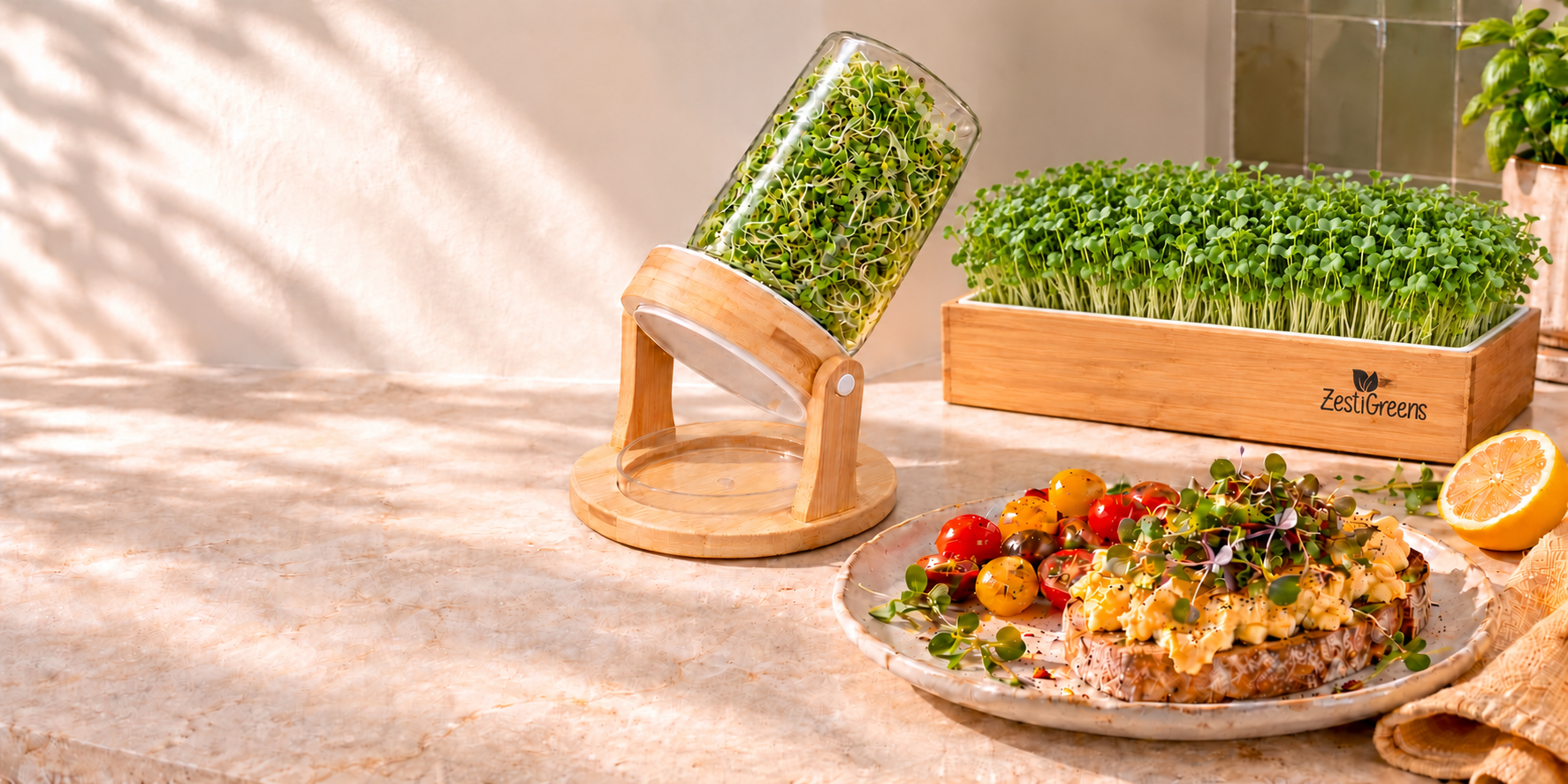 Styled kitchen scene featuring the bamboo sprouting jar set with fully grown sprouts, a self watering microgreens kit and toast topped with fresh greens