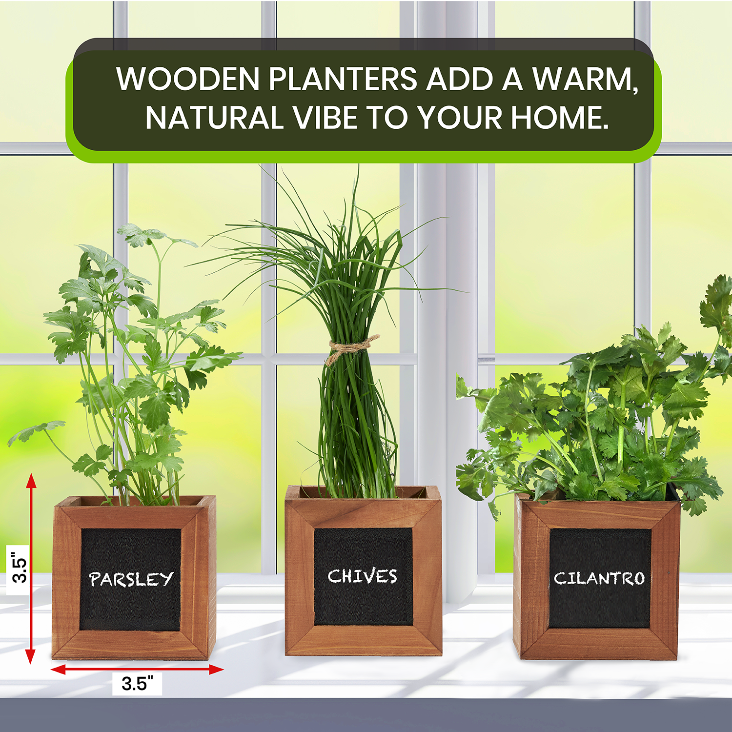 Herb Garden Kits Indoor