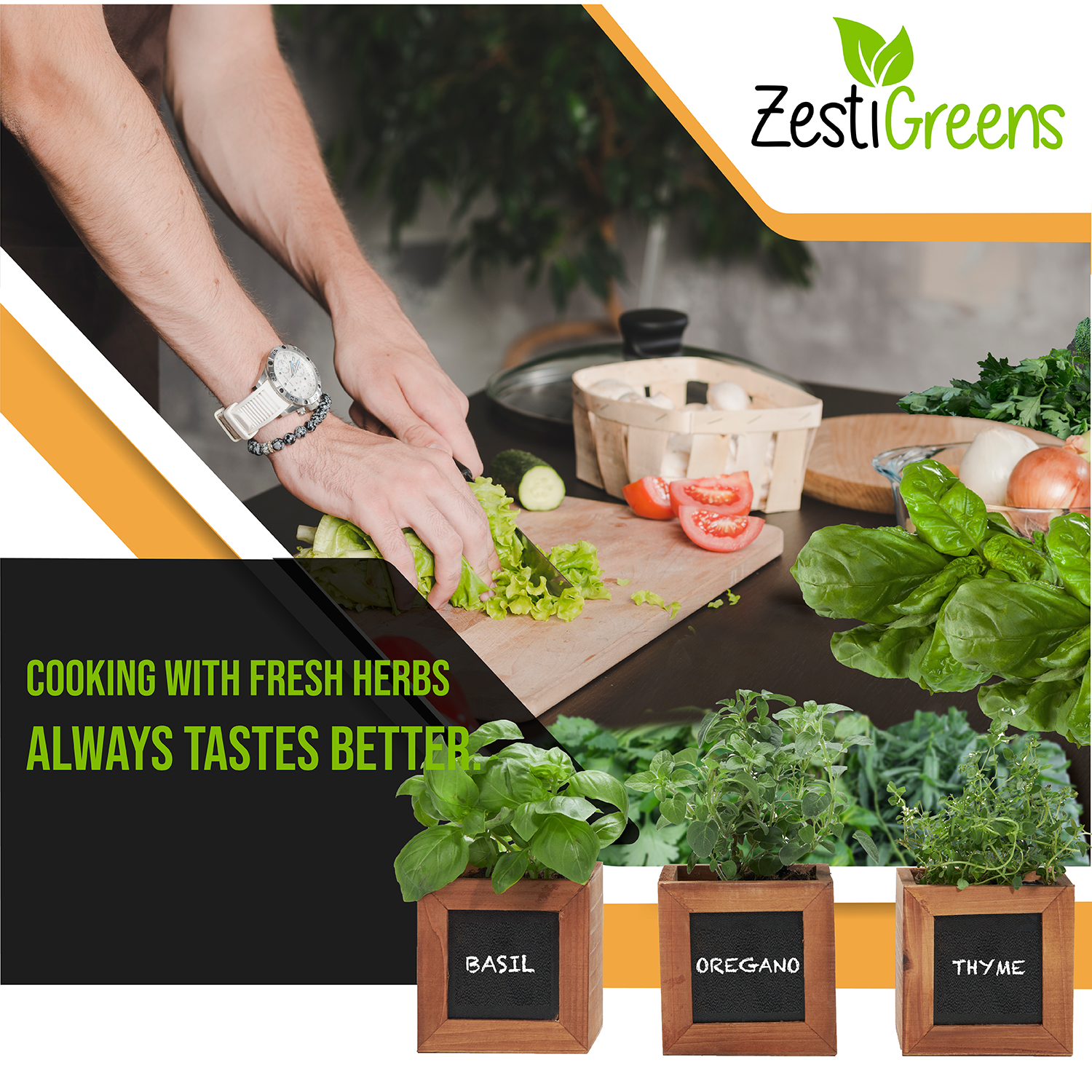 Herb Garden Kits Indoor