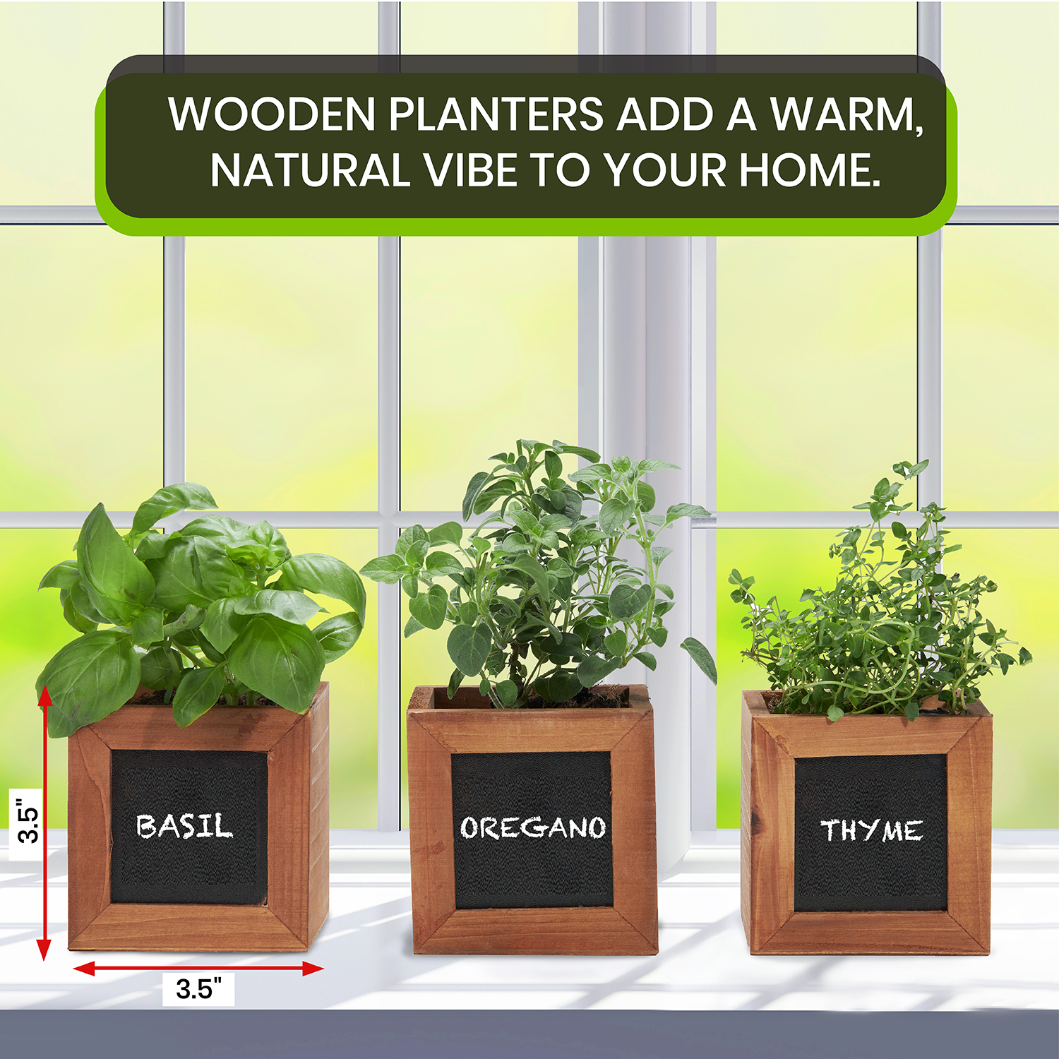 Herb Garden Kits Indoor
