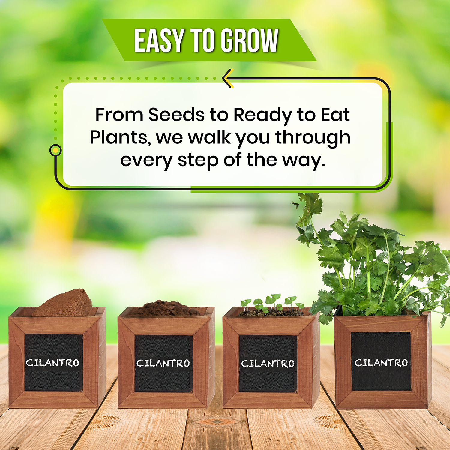 Herb Garden Kits Indoor