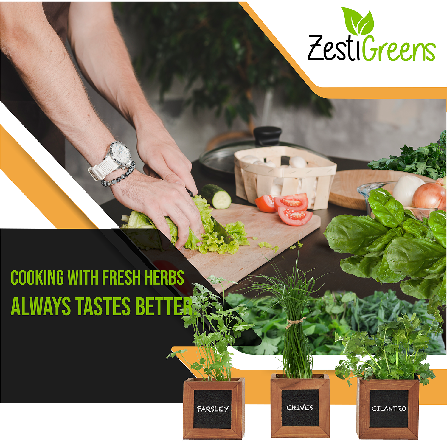 Herb Garden Kits Indoor