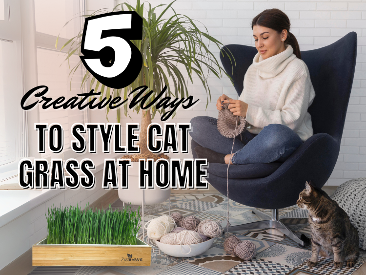 Woman knitting in a cozy modern living room with a cat nearby and a tray of cat grass by the window, with text overlay that reads '5 Creative Ways to Style Cat Grass at Home'.