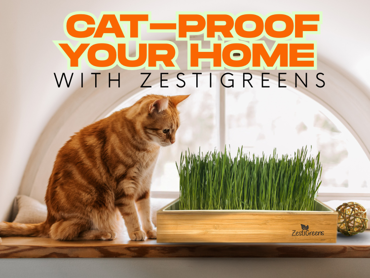 An orange tabby cat sits on a window sill, curiously eyeing a lush tray of green cat grass in a wooden ZestiGreens planter. The background features a bright arched window, with bold text reading “Cat-Proof Your Home with ZestiGreens.”