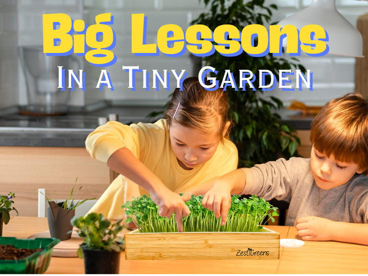 Microgreens for Kids: Fun Science Projects and Healthy Snacks