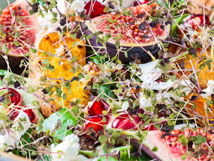 Warm Autumn Quinoa Salad with Roasted Veggies, Figs, Pomegranate & Fresh Microgreens or Sprouts!