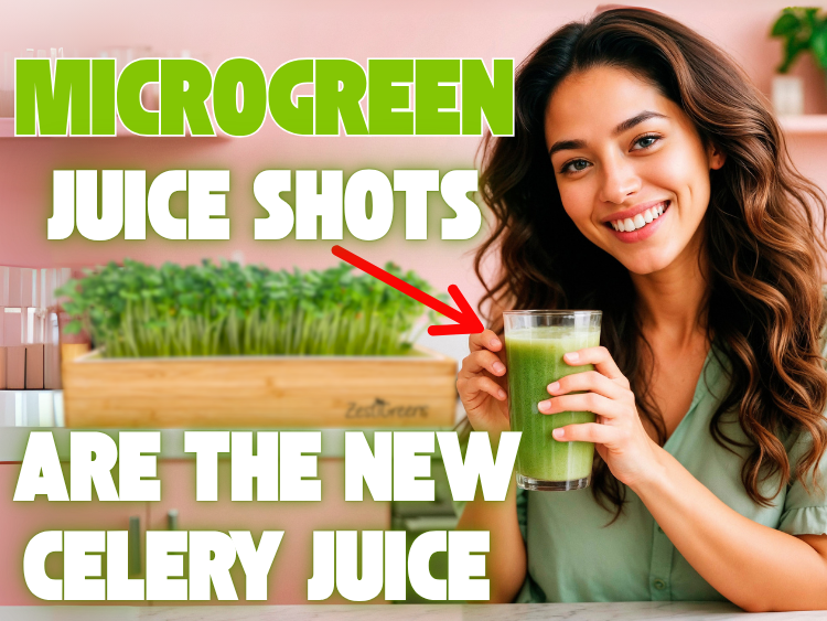 Smiling woman holding a green microgreen juice shot with a tray of fresh ZestiGreens microgreens in the background. Bold text reads: 'Microgreen Juice Shots Are the New Celery Juice'. Vibrant and trendy health aesthetic, perfect for wellness marketing.