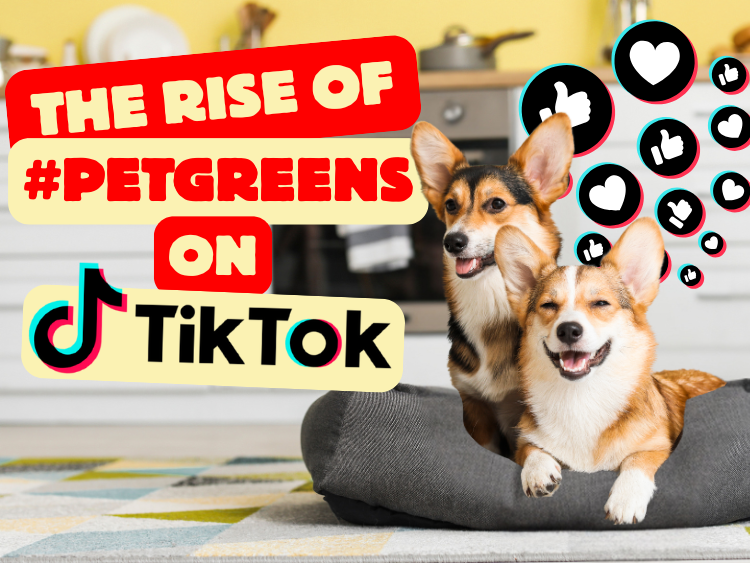 TikTok Pets Are Eating Better Than You—Here’s Why Microgreens Are Going Pet-Viral