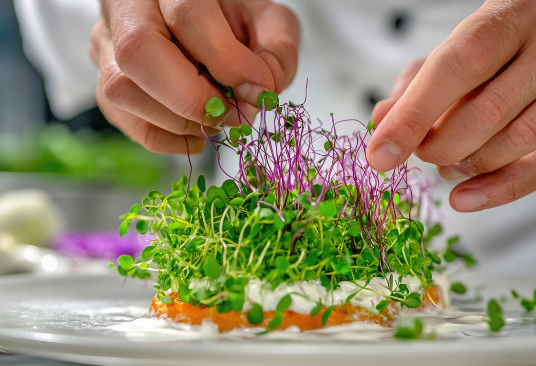 How and Why Do Chefs Use Microgreens?