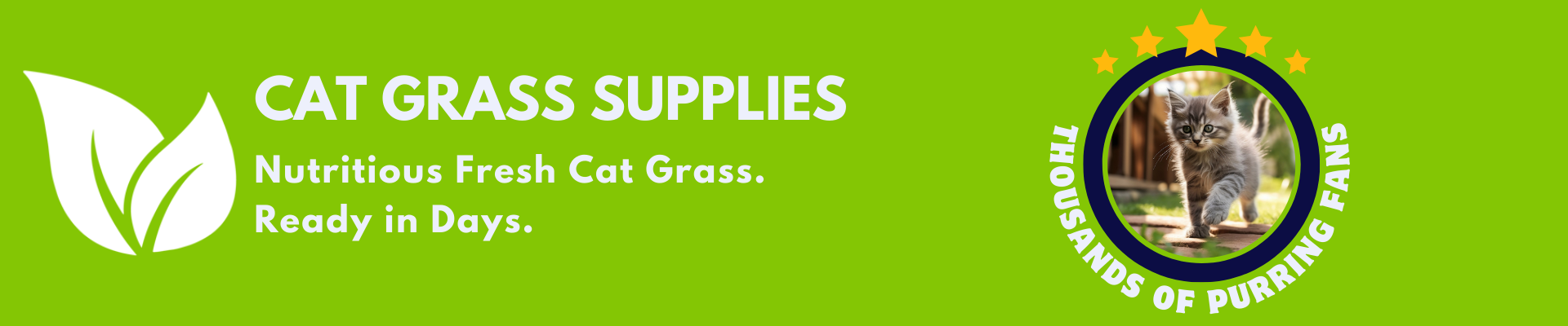 Cat Grass Growing Kits