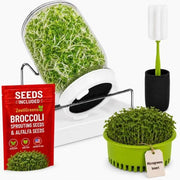 Broccoli Sprouts Growing Kit with Mason Jar Stand Tray USA Seeds