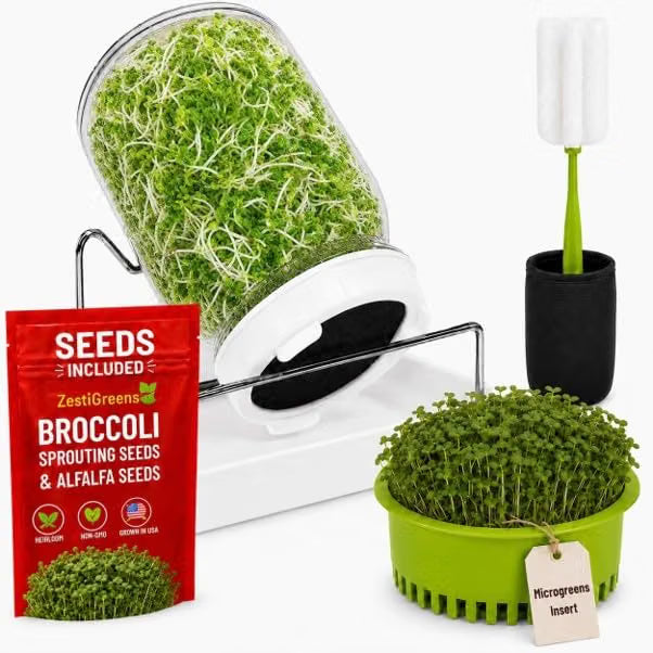 Broccoli Sprouts Growing Kit with Mason Jar Stand Tray USA Seeds