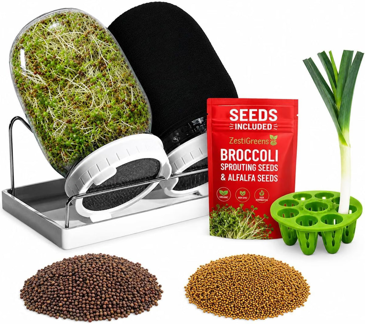Sprouting Jar Kit 2 Mason Jars with Broccoli Alfalfa Seeds