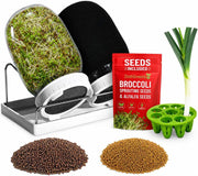 Sprouting Jar Kit 2 Mason Jars with Broccoli Alfalfa Seeds