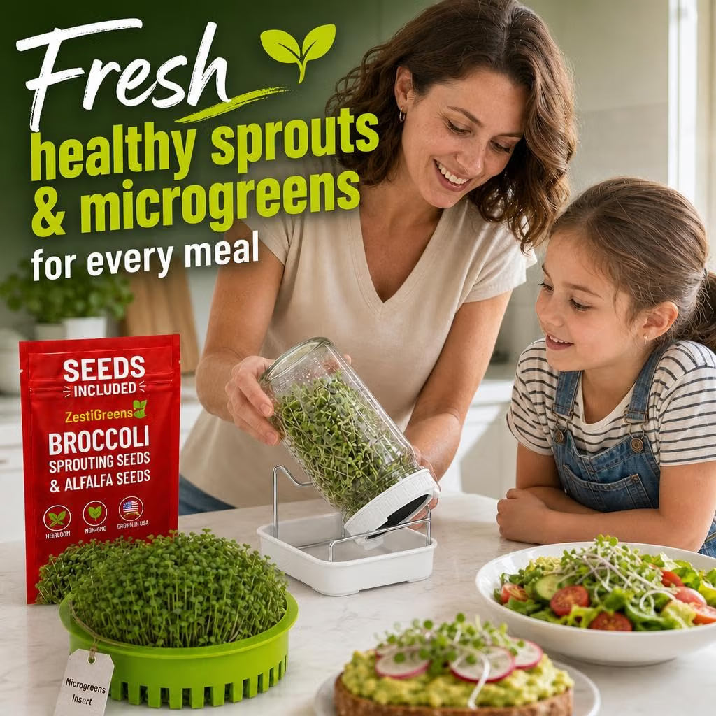 Broccoli Sprouts Growing Kit with Mason Jar Stand Tray USA Seeds