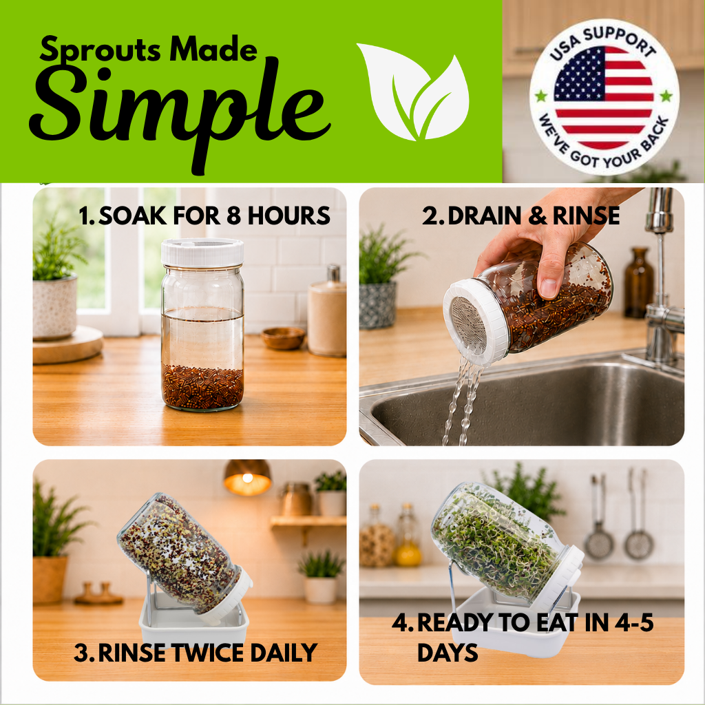 Jar Sprouts Growing Kit