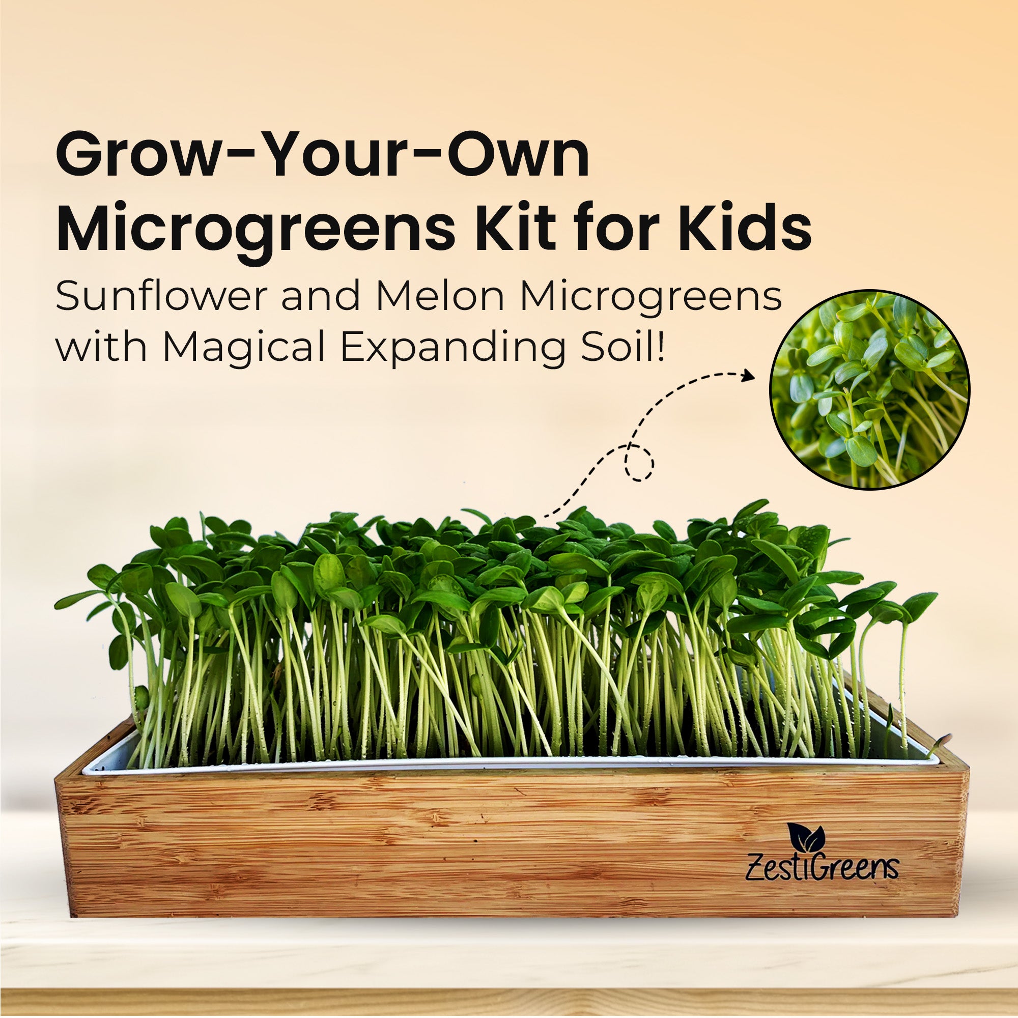 Grow-Your-Own Microgreens Kit for Kids – Sunflower and Melon Microgreens with Magical Expanding Soil!