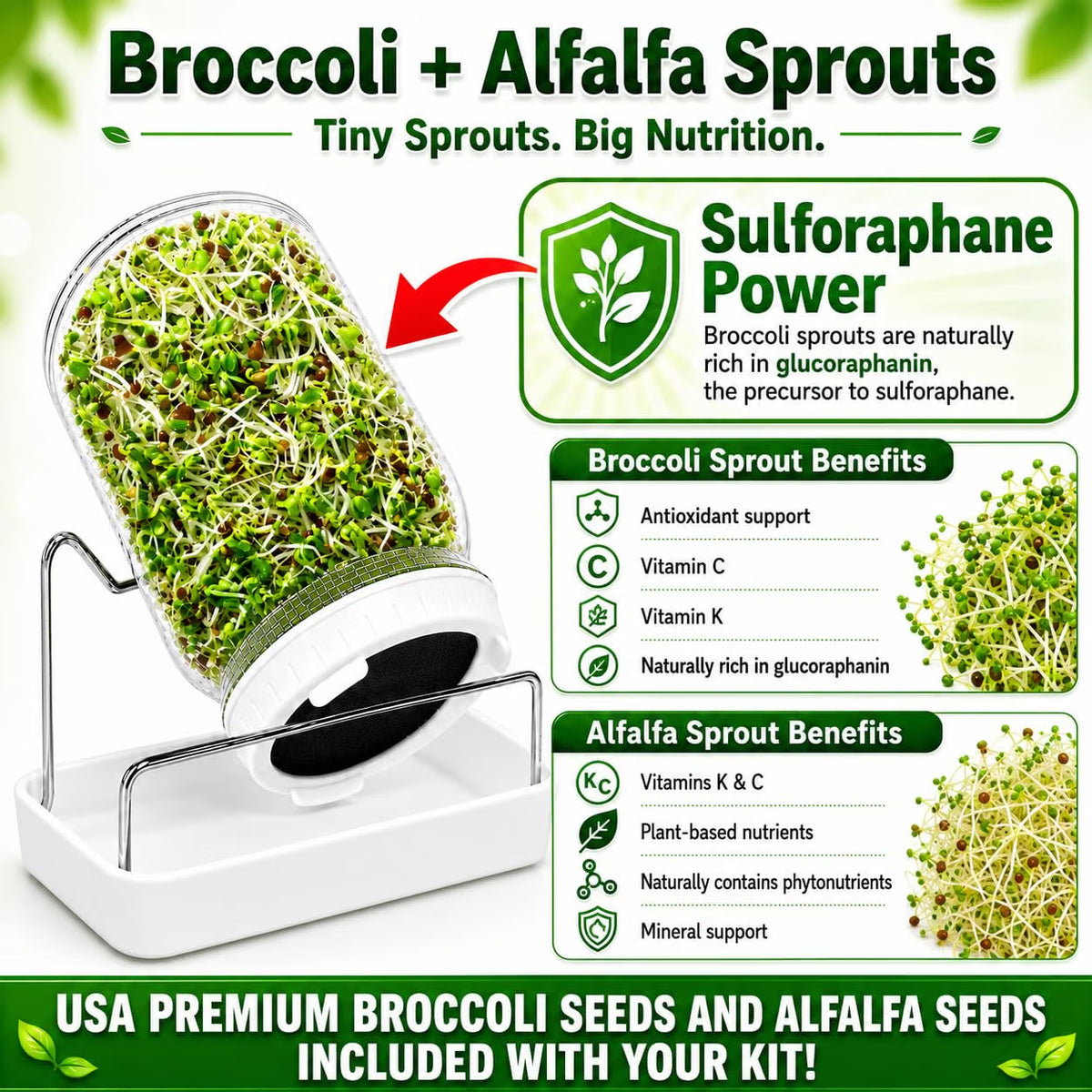 Broccoli Sprouts Growing Kit with Mason Jar Stand Tray USA Seeds