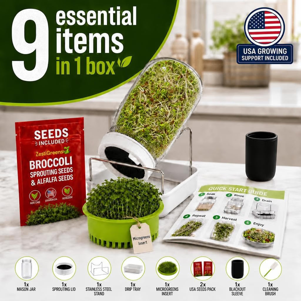 Broccoli Sprouts Growing Kit with Mason Jar Stand Tray USA Seeds
