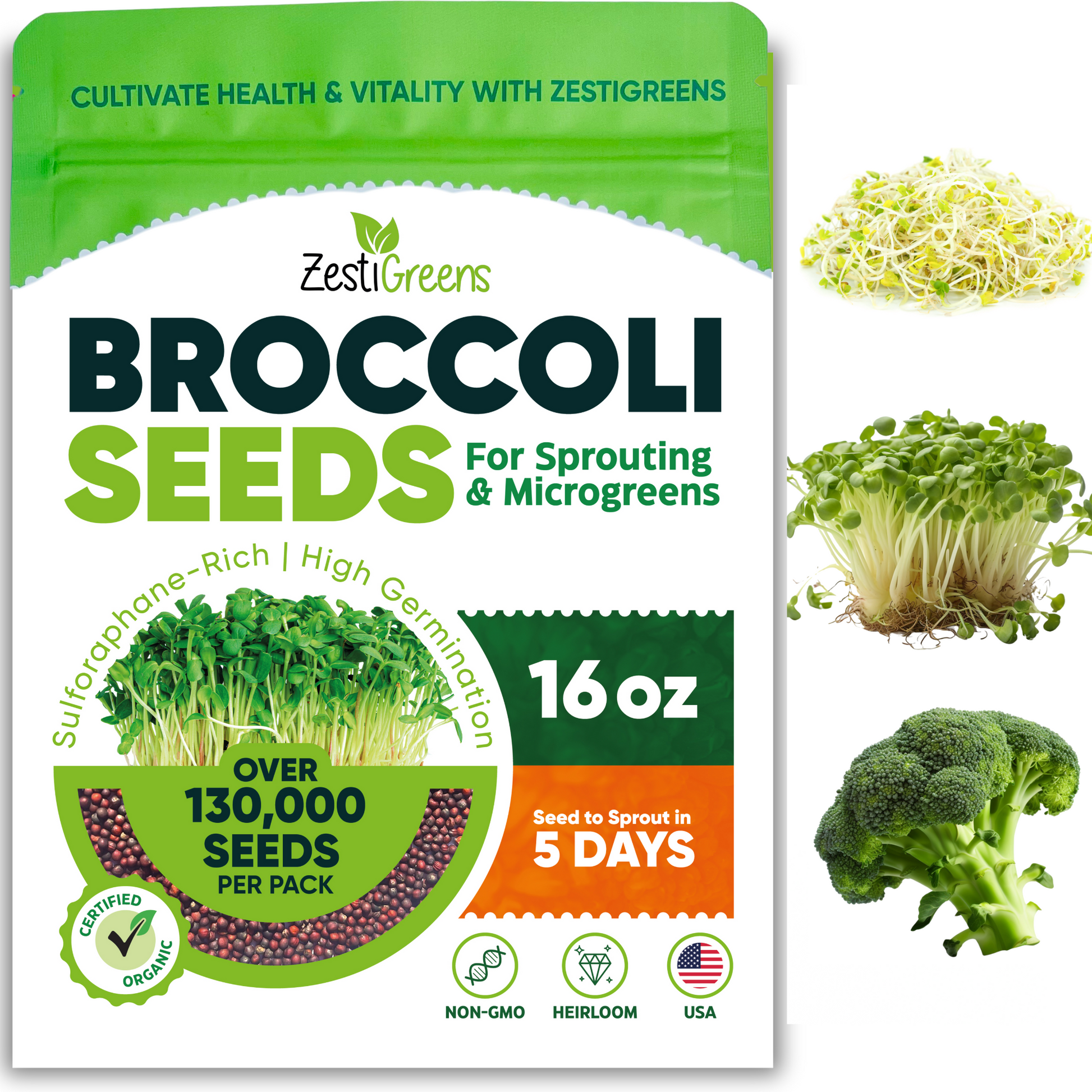 18+ Microgreen Broccoli Seeds Organic Broccoli Seeds for Sprouting | Microgreens - Zestigreens