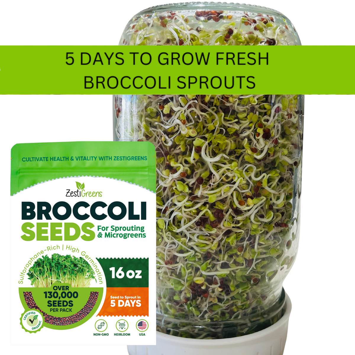 Organic Broccoli Seeds