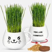 Cat Grass Mug Growing Kit