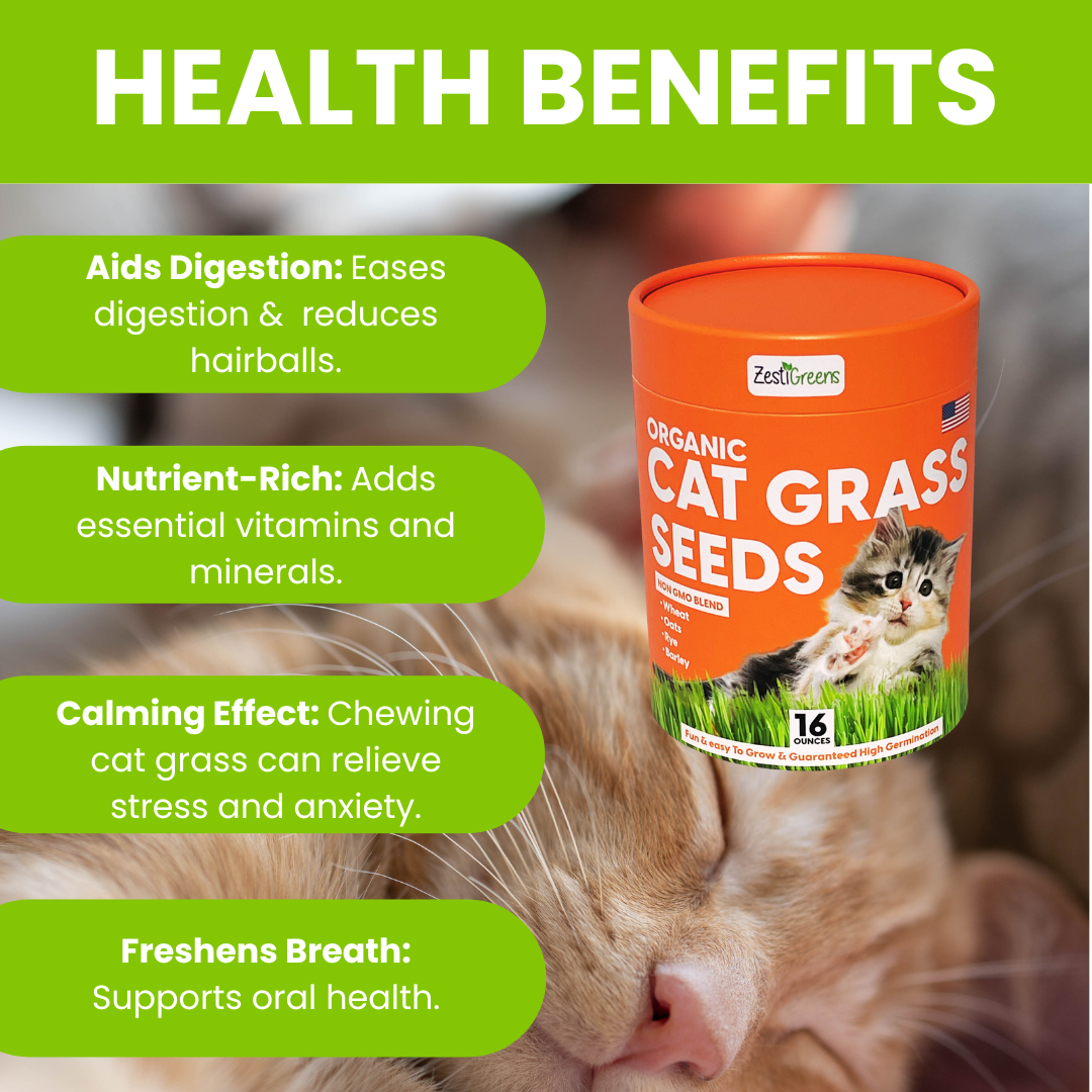 
                  
                    ZESTIGREENS Organic Cat Grass Seeds - 1 lb Non-GMO Blend of Wheat, Oats, Rye & Barley for Indoor Cats | Seeds Come in Food Grade Container with Lid for Easier Scooping & Keeping Fresher
                  
                