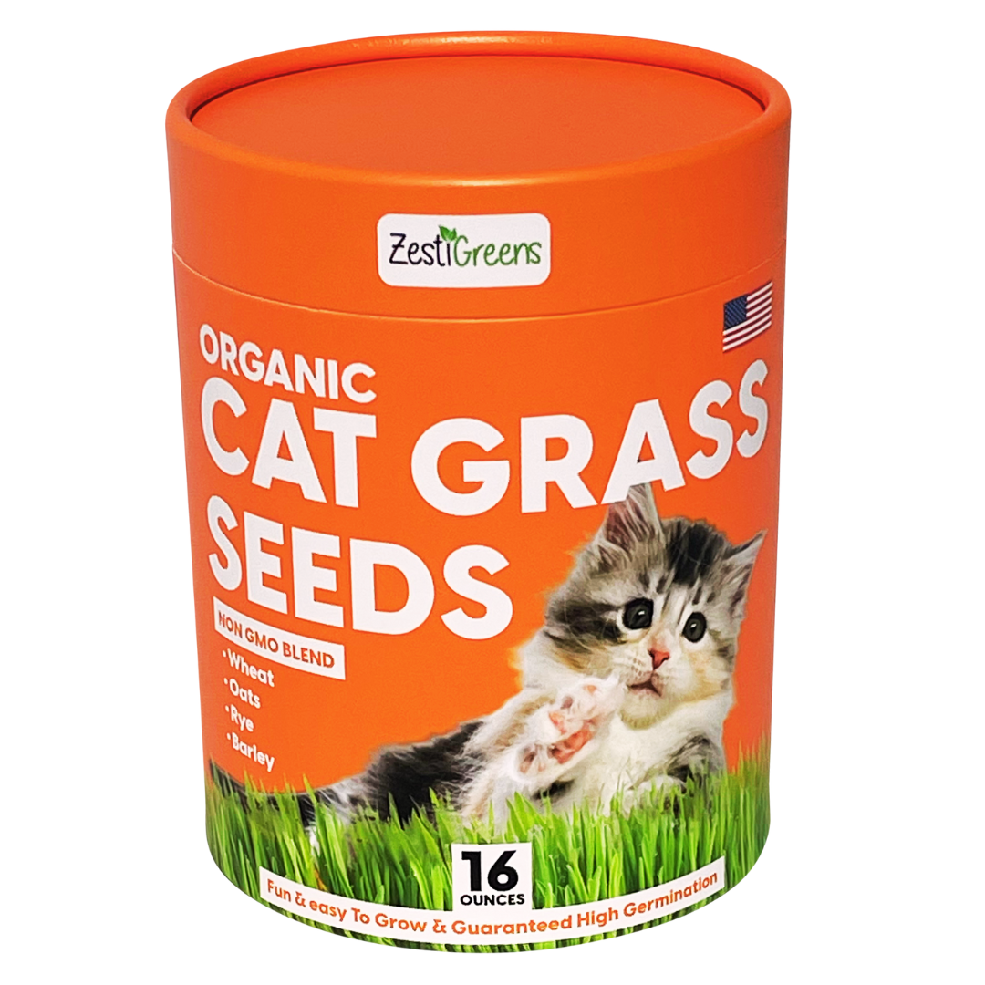  Cat Grass Seeds