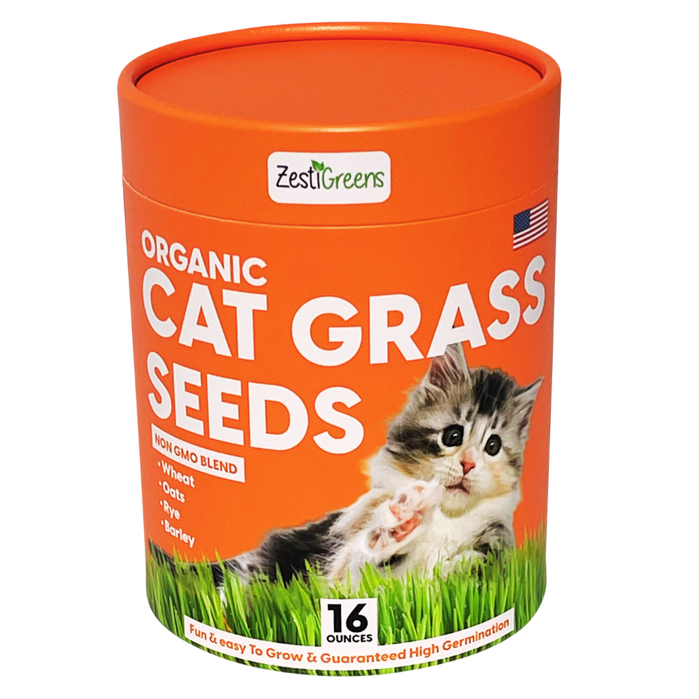 ZESTIGREENS Organic Cat Grass Seeds - 1 lb Non-GMO Blend of Wheat, Oats, Rye & Barley for Indoor Cats | Seeds Come in Food Grade Container with Lid for Easier Scooping & Keeping Fresher