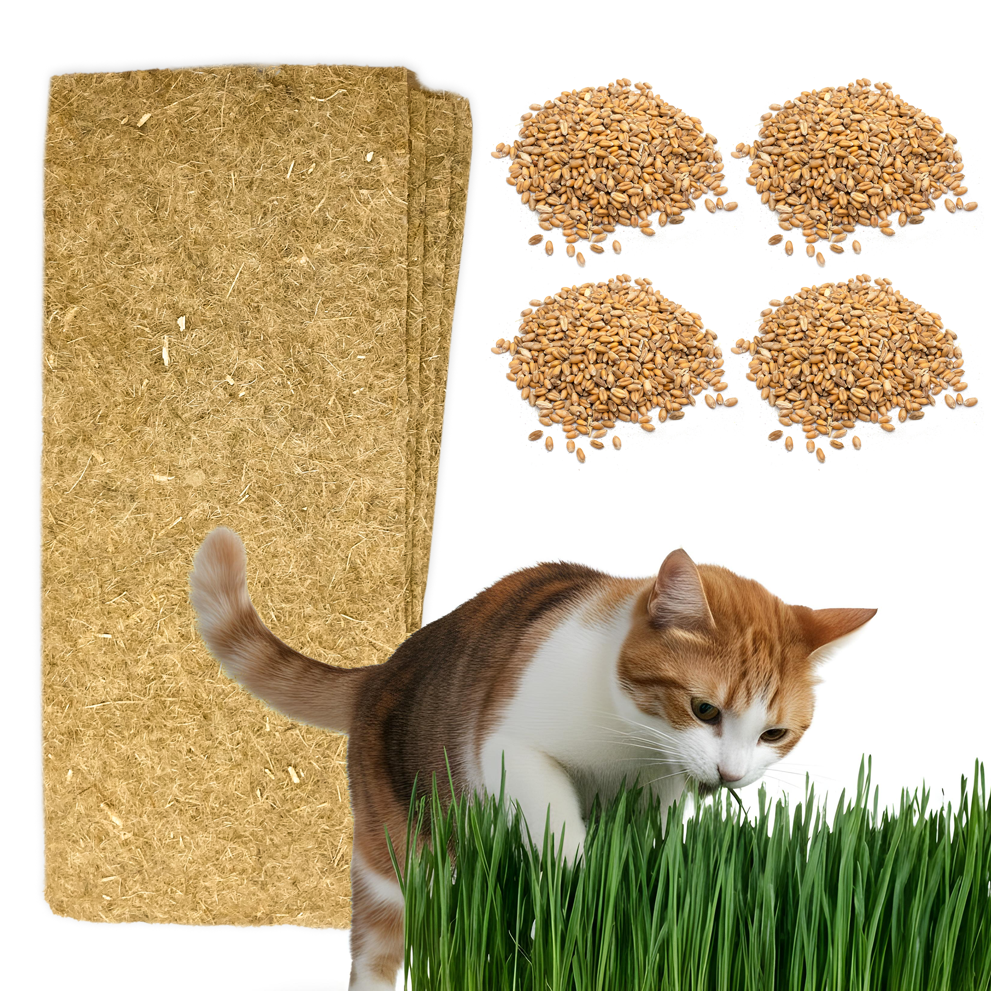 Cat Grass Refills