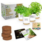 Ceramic Herb Kit