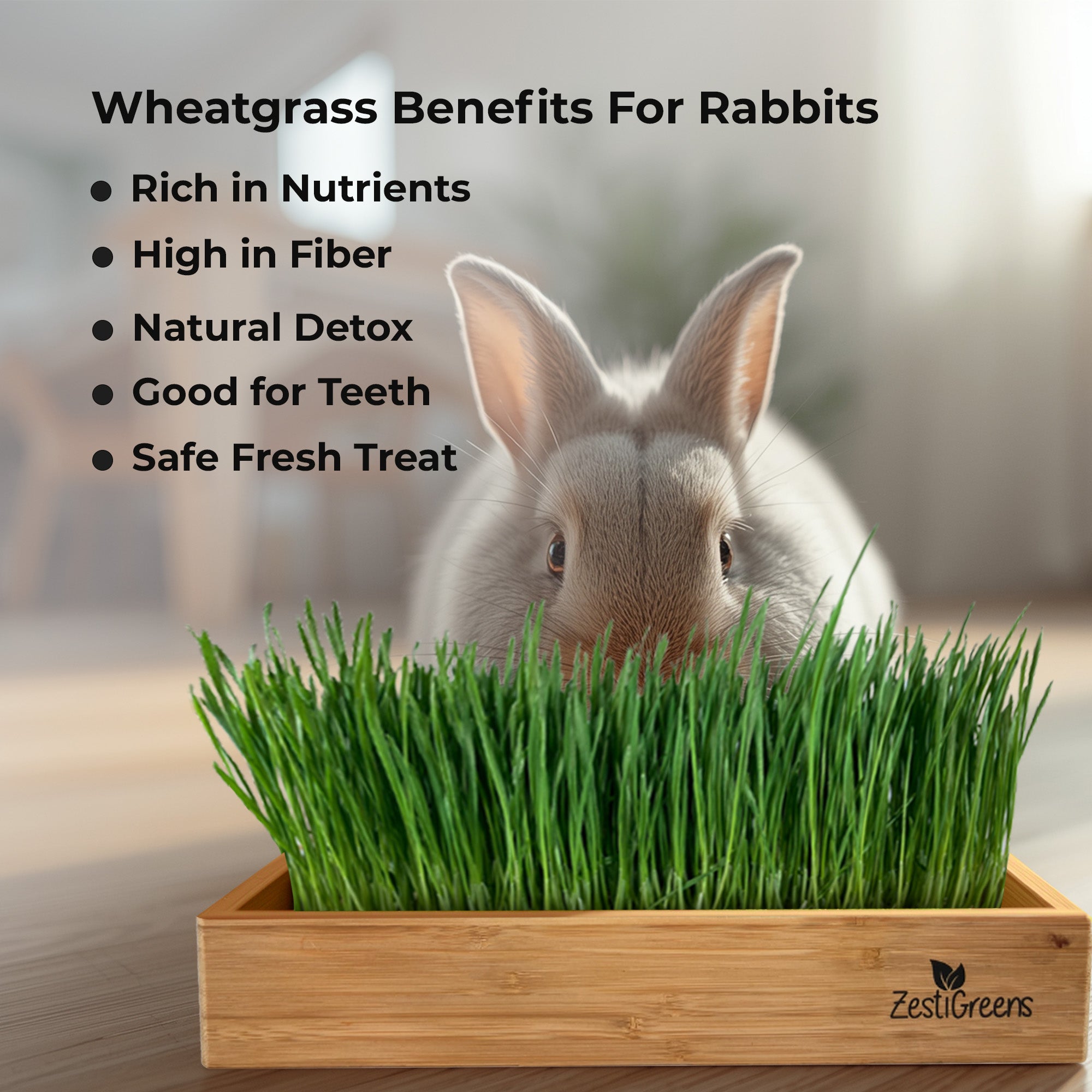 Rabbit Grass Refills