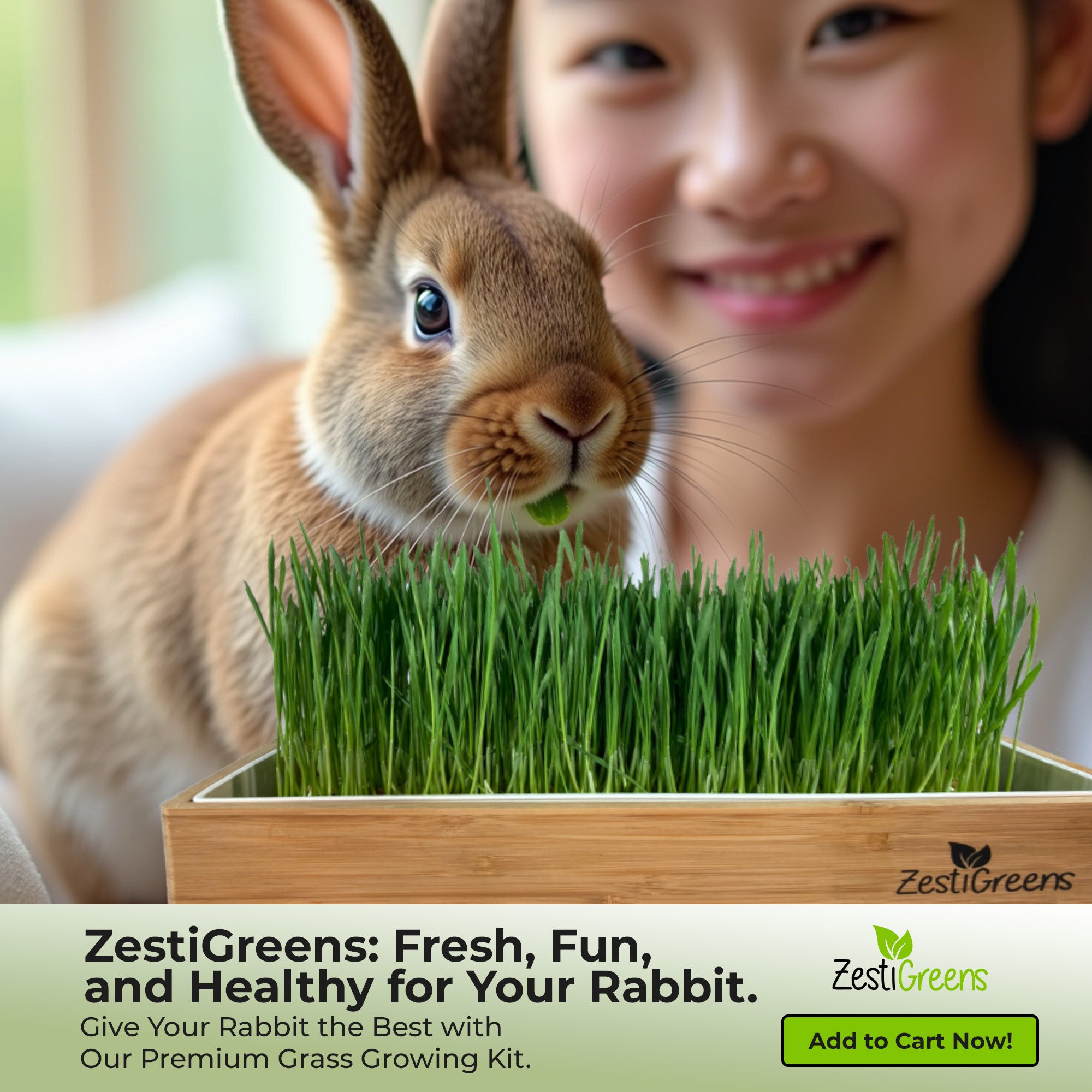 Rabbit Grass Refills