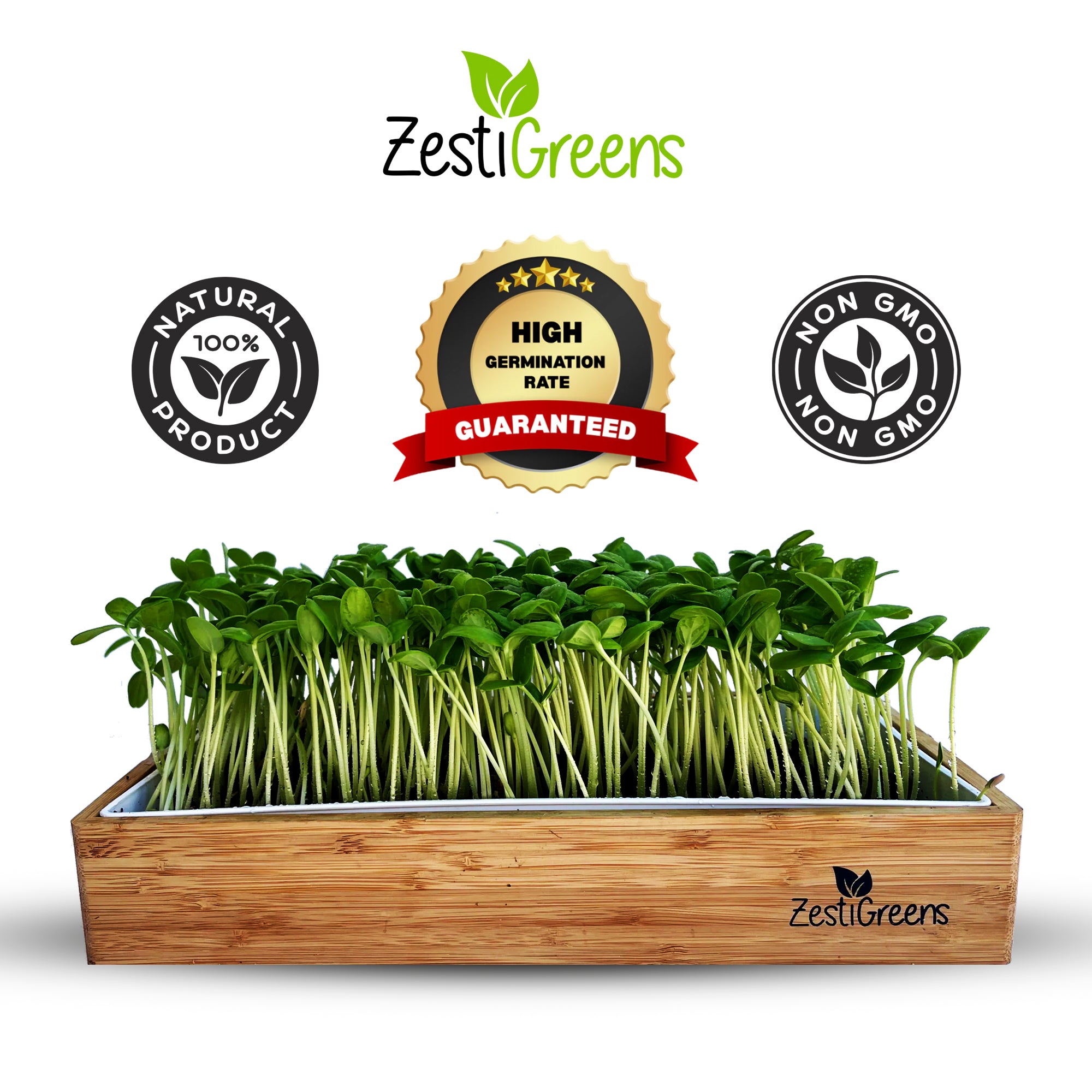 Grow-Your-Own Microgreens Kit for Kids – Sunflower and Melon Microgreens with Magical Expanding Soil!
