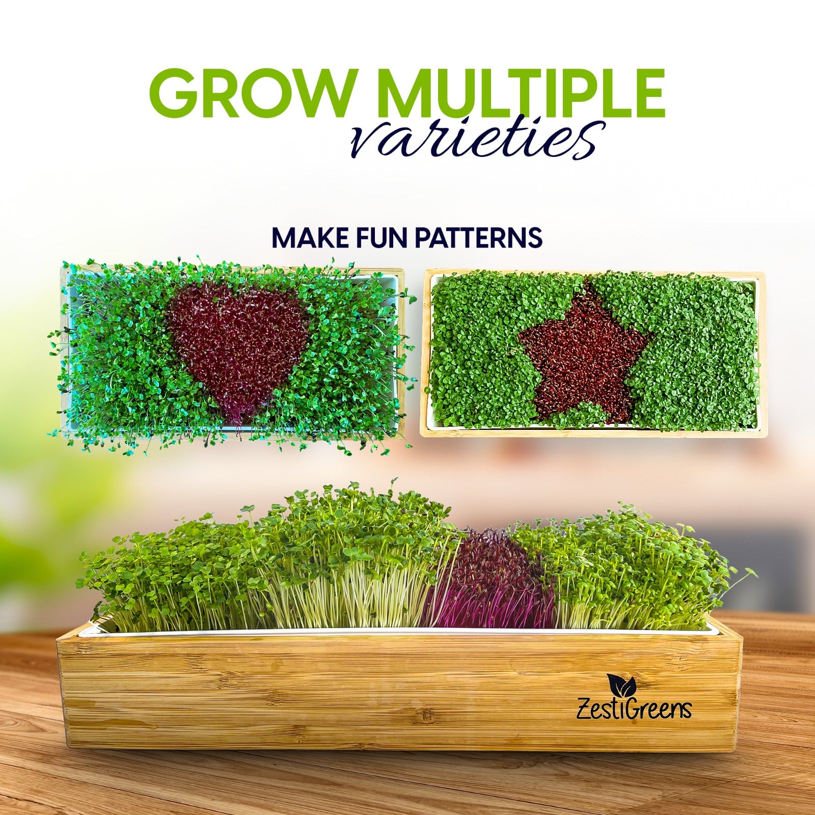 Microgreens Growing Kit Self Watering