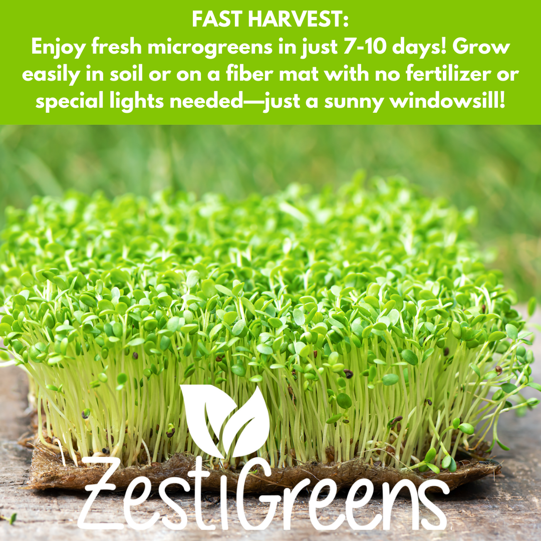 micro plant seeds Organic Variety Pack Microgreens Seeds