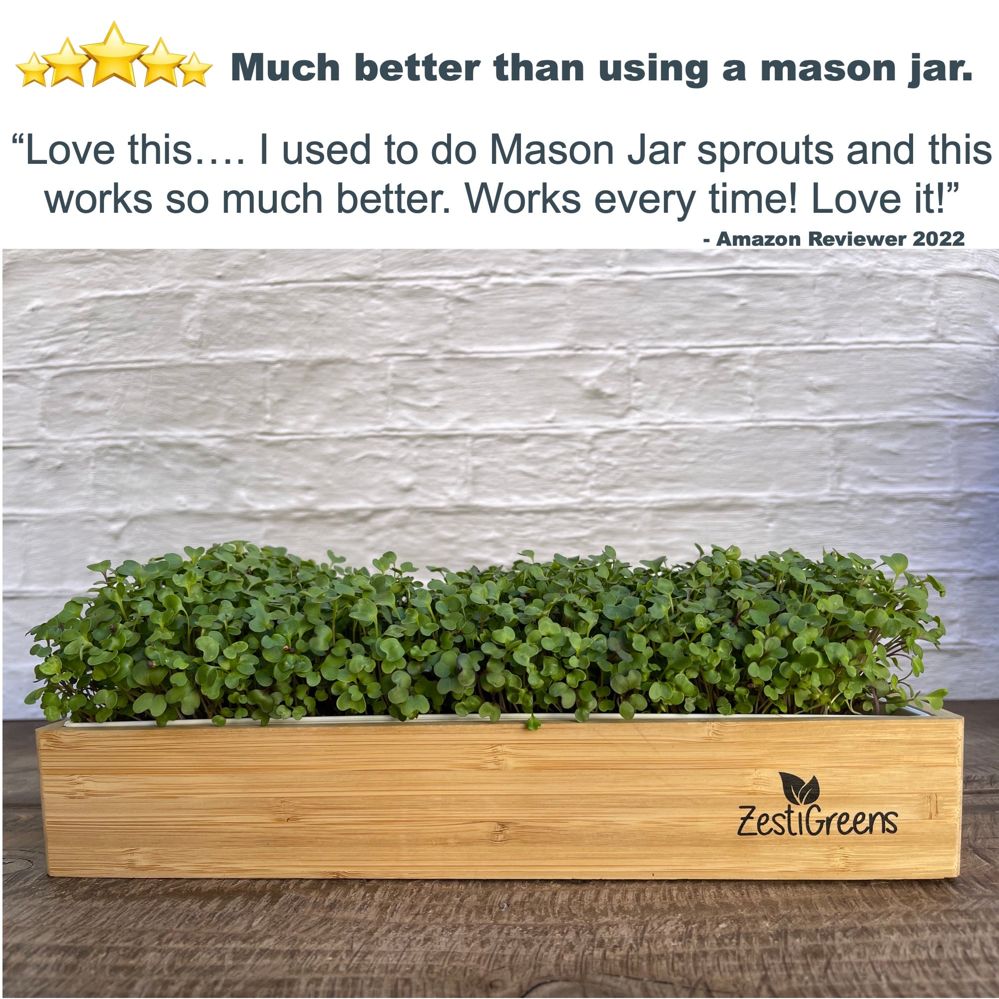Microgreens Seeds 