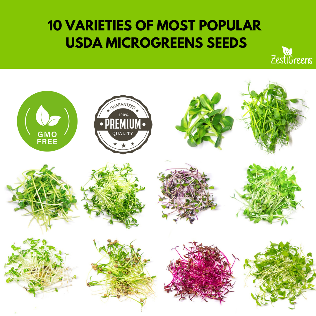 Variety Pack Microgreens Seeds