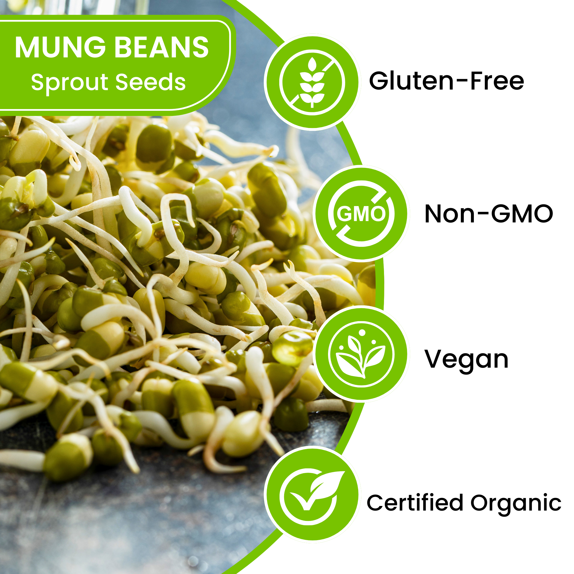 Mung Bean Sprouting Seeds - NON GMO
