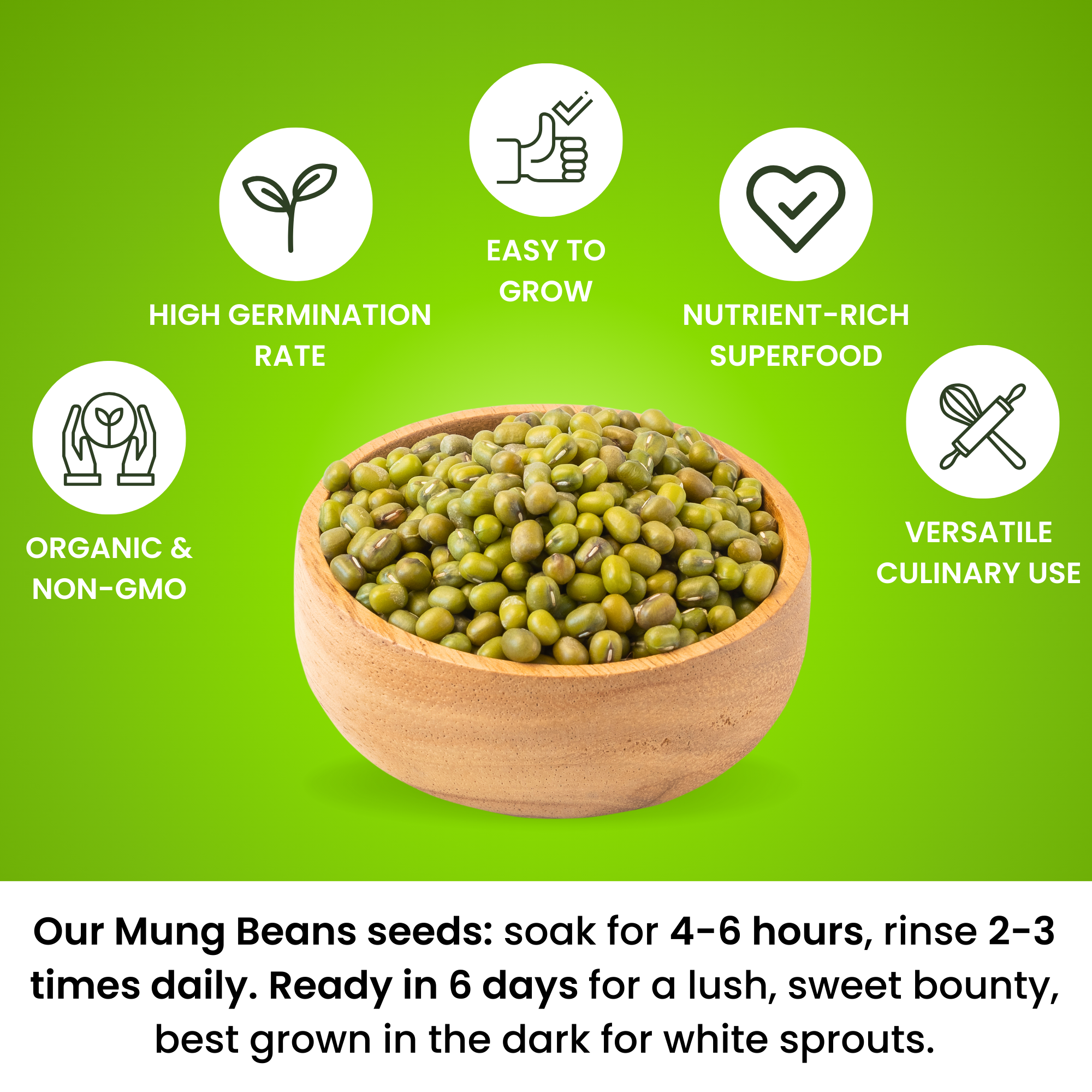Mung Bean Sprouting Seeds - NON GMO