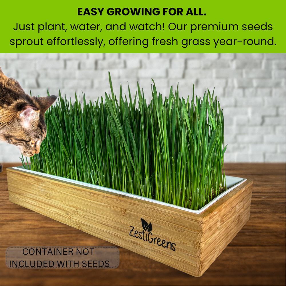 
                  
                    ZESTIGREENS Organic Cat Grass Seeds - 1 lb Non-GMO Blend of Wheat, Oats, Rye & Barley for Indoor Cats | Seeds Come in Food Grade Container with Lid for Easier Scooping & Keeping Fresher
                  
                