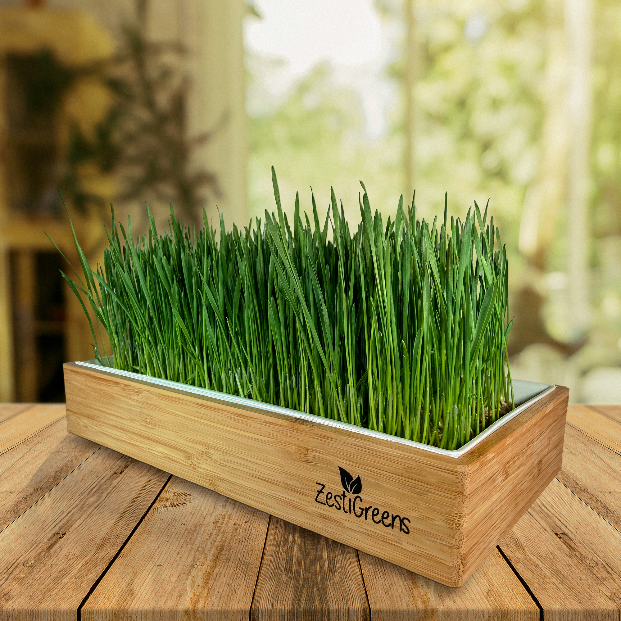 Organic Wheatgrass Growing Kit, Self Watering