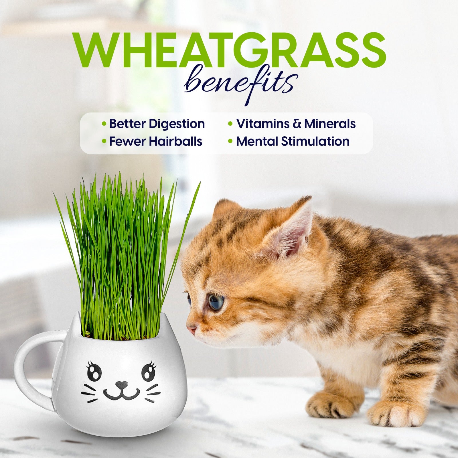 Cat Grass Mug Growing Kit