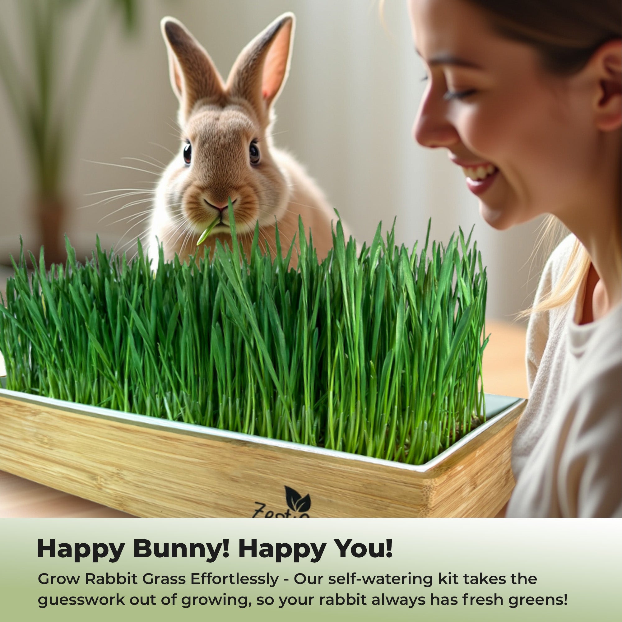 Rabbit Grass Refills