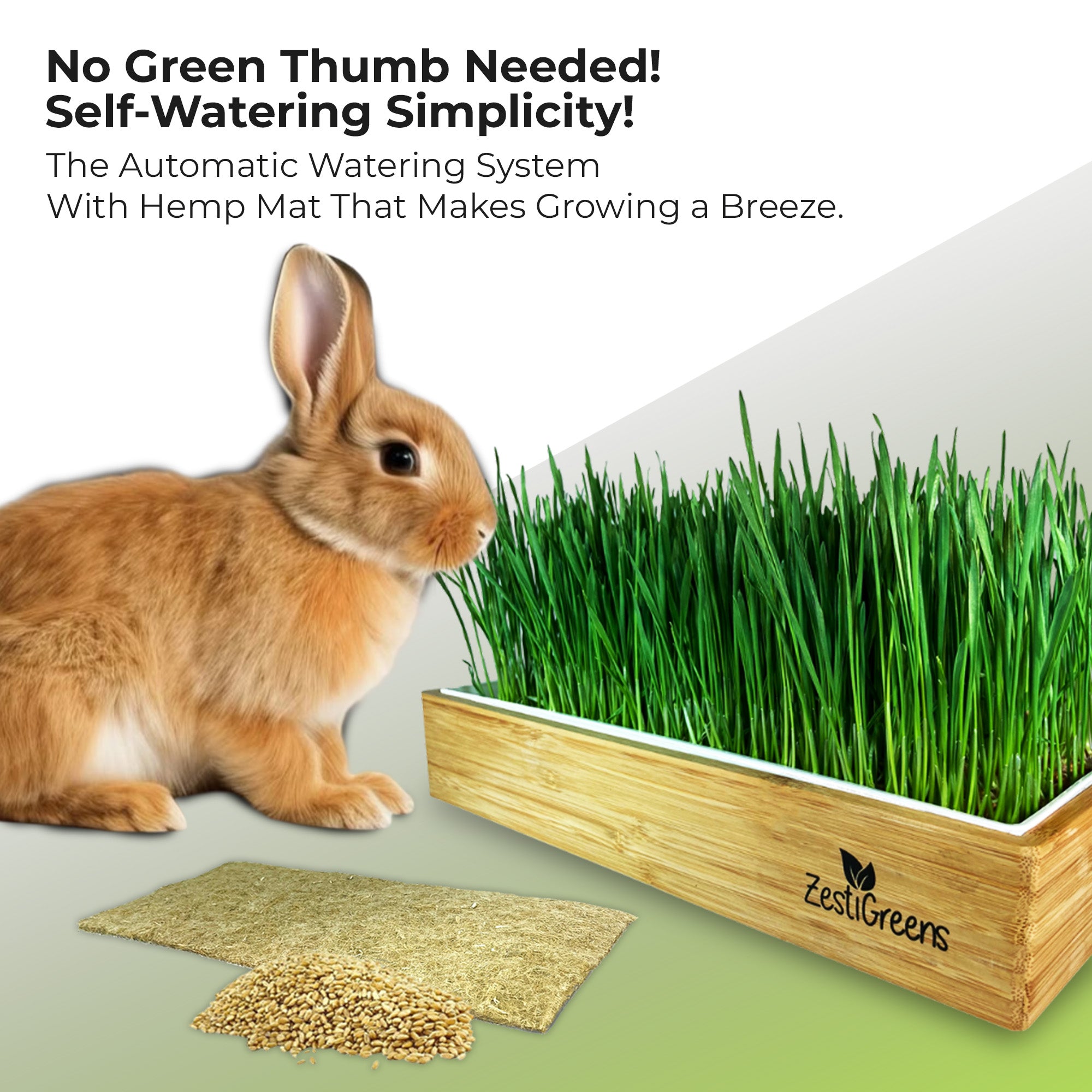 Rabbit Grass Refills
